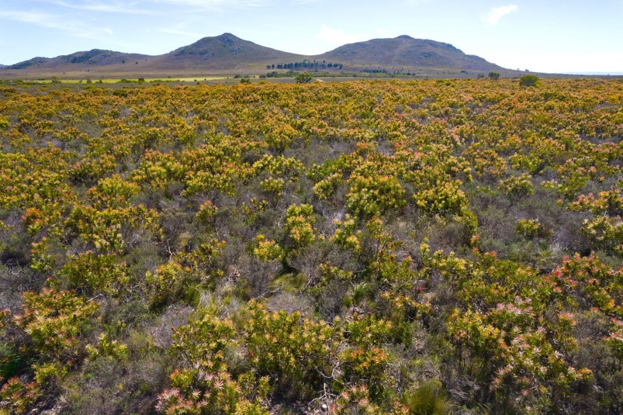 0 Bedroom Property for Sale in Humansdorp Rural Eastern Cape